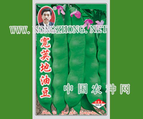 宽荚地油豆